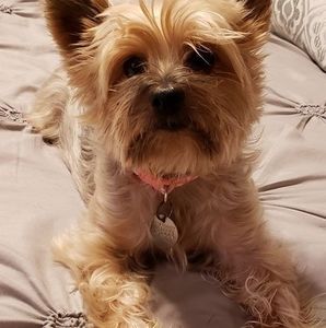 Meet your Posher, Lemarion